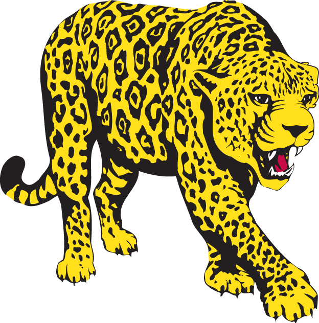 South Alabama Jaguars 1993-2007 Partial Logo t shirts iron on transfers v3